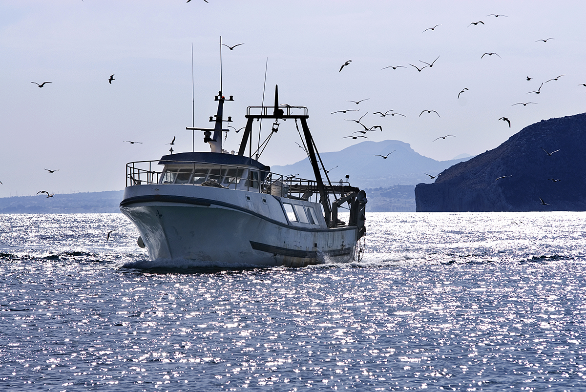 qiyu_container_fishing boat_img