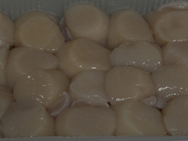 冰鮮干貝