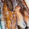 水章魚腳｜回饋特價