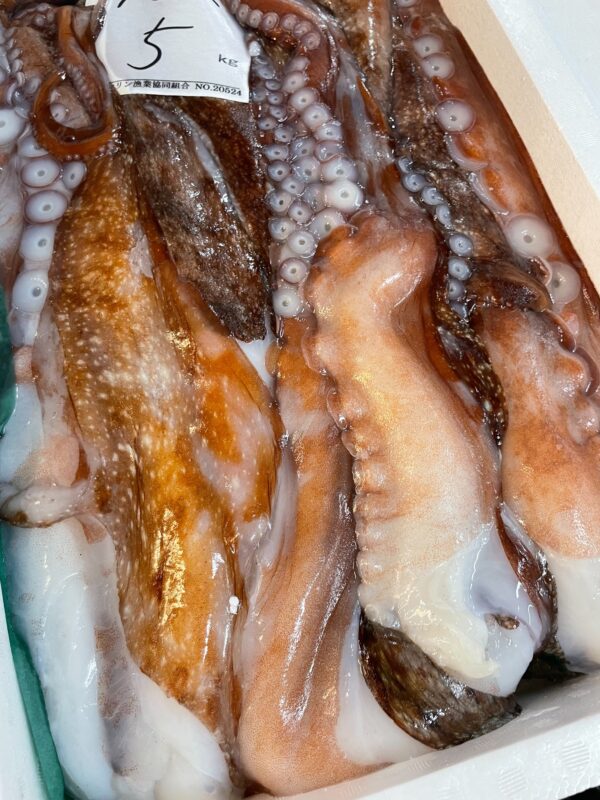 水章魚腳｜回饋特價
