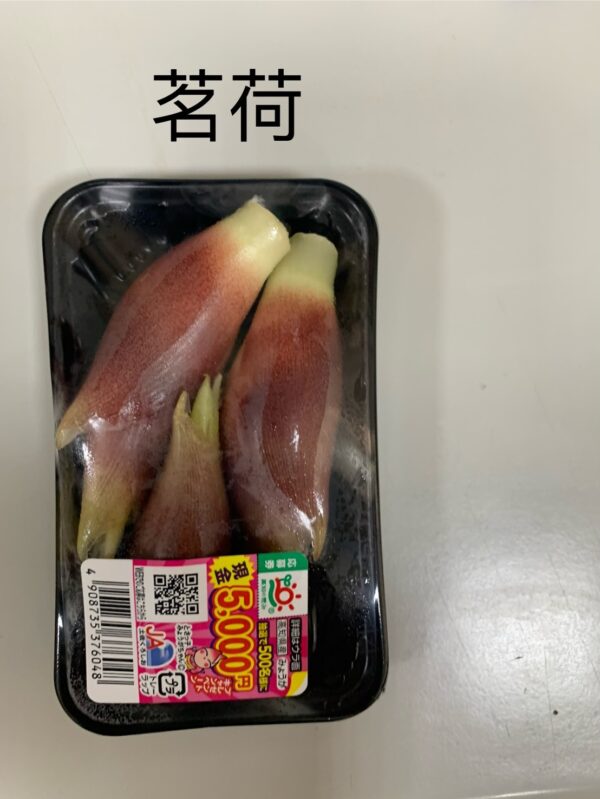 茗荷