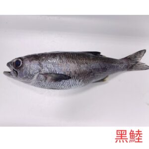 黑鯥