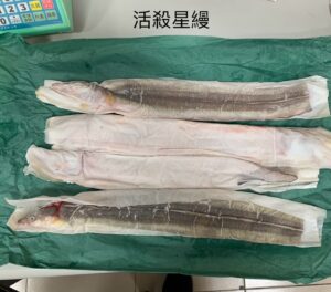 活殺星鰻背開（附骨頭內臟）