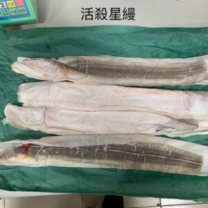 活殺星鰻背開（附骨頭內臟）