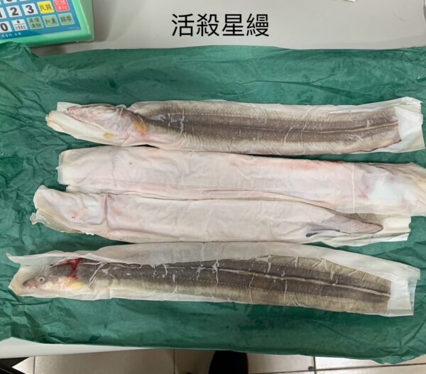 活殺星鰻背開（附骨頭內臟）