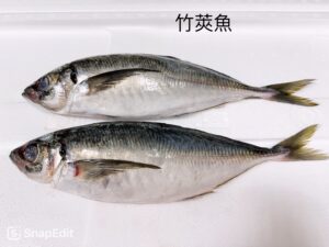 竹筴魚｜回饋特價
