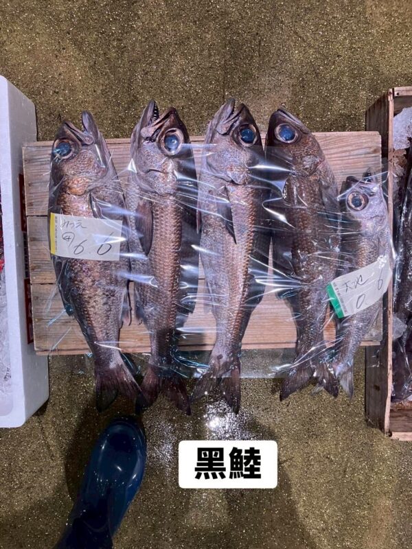 黑睦(黒むつ)｜現流魚貨