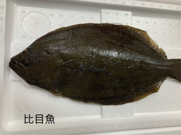 養殖比目魚｜回饋特價