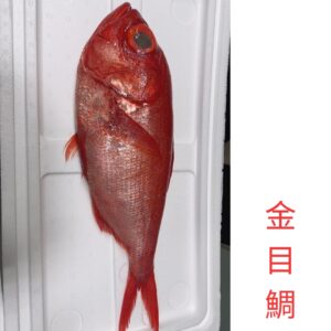 金目鯛