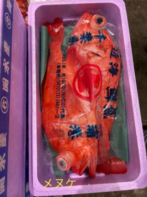 在地金目鯛(地キンメ)｜現流魚貨