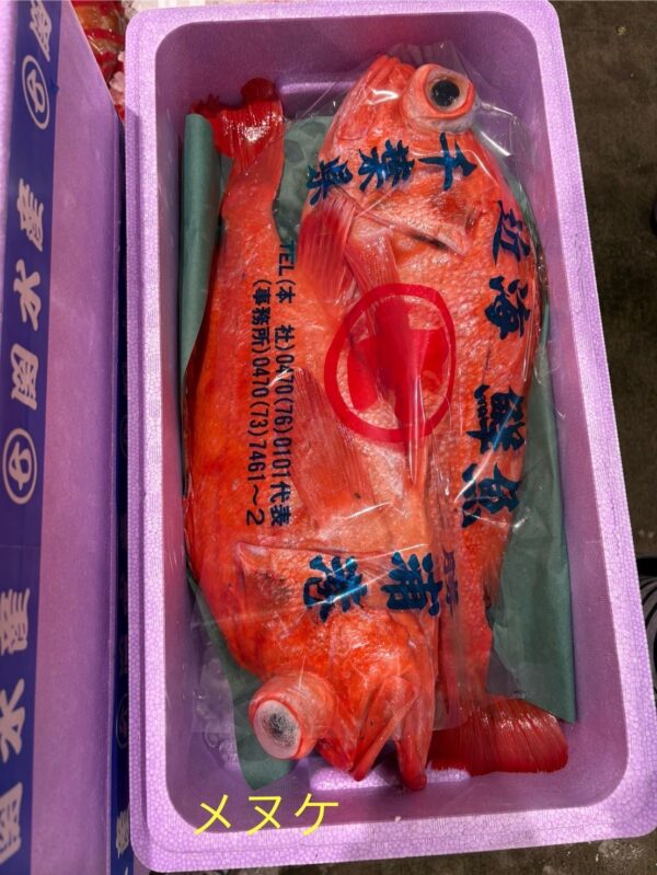 在地金目鯛(地キンメ)｜現流魚貨