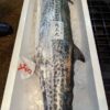 鰆魚(サワラ)｜現流魚貨