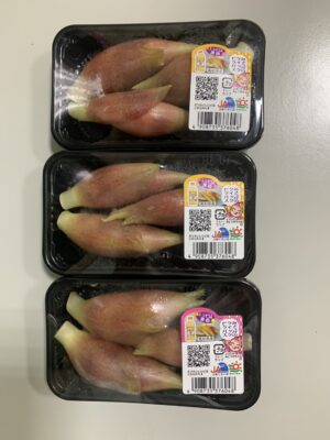 茗荷｜回饋特價
