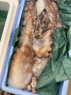 水章魚腳｜回饋特價